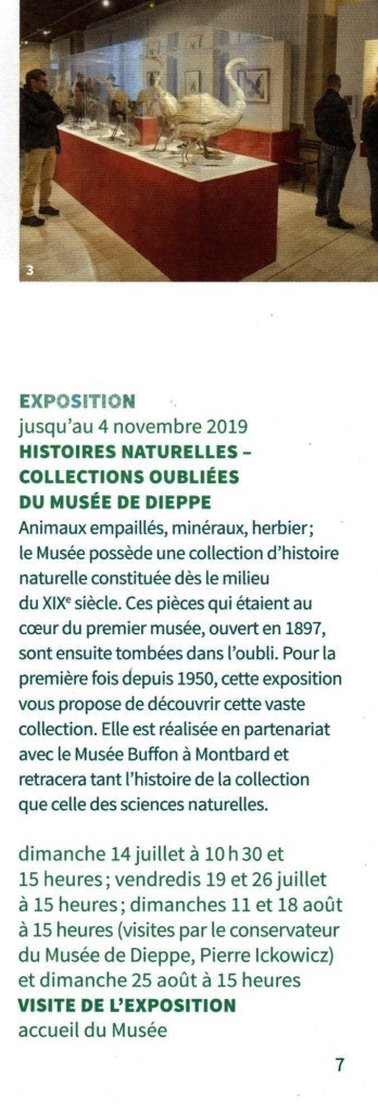 Visite expo musée